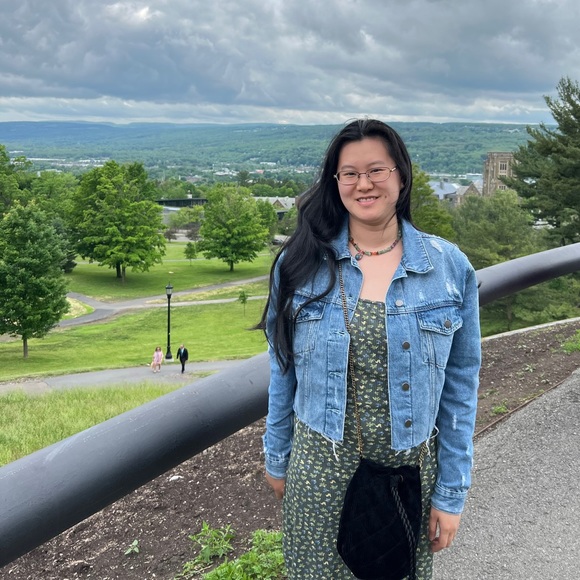 Meet your Posher, Diana. Welcome to my closet! - Picture 3 of 15